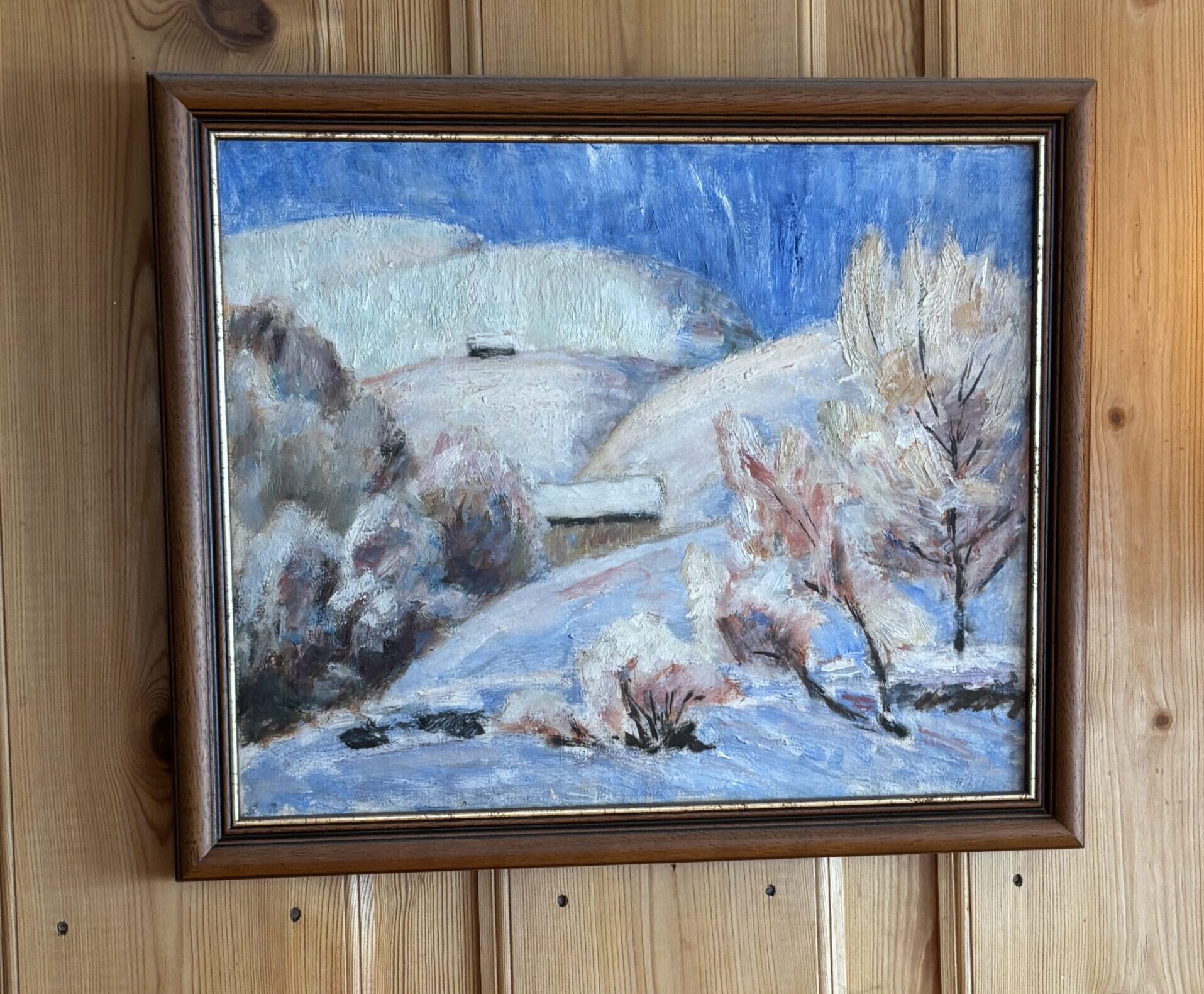 Vinter dalside