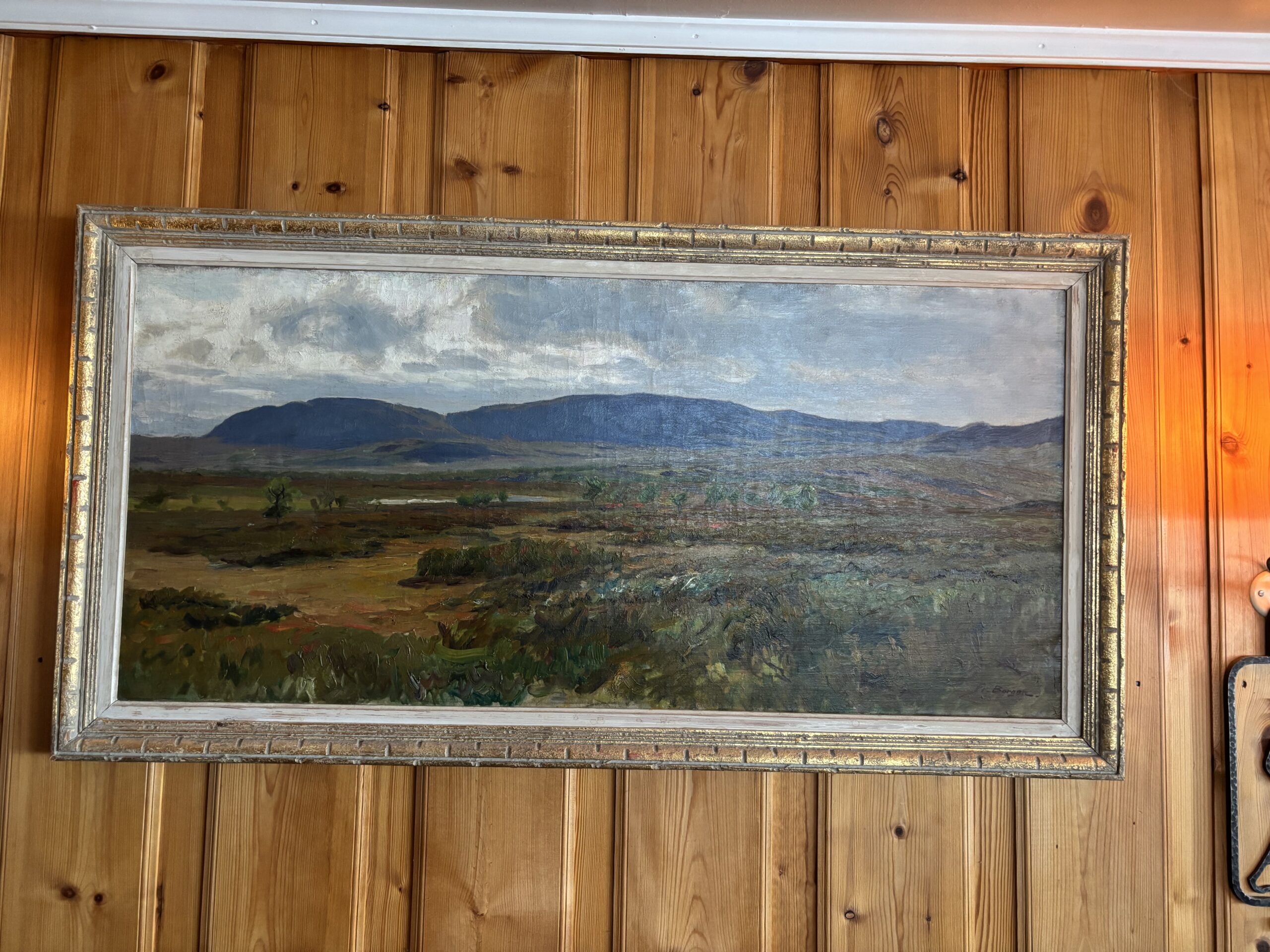 Dynjefjellet (Valdresflya)