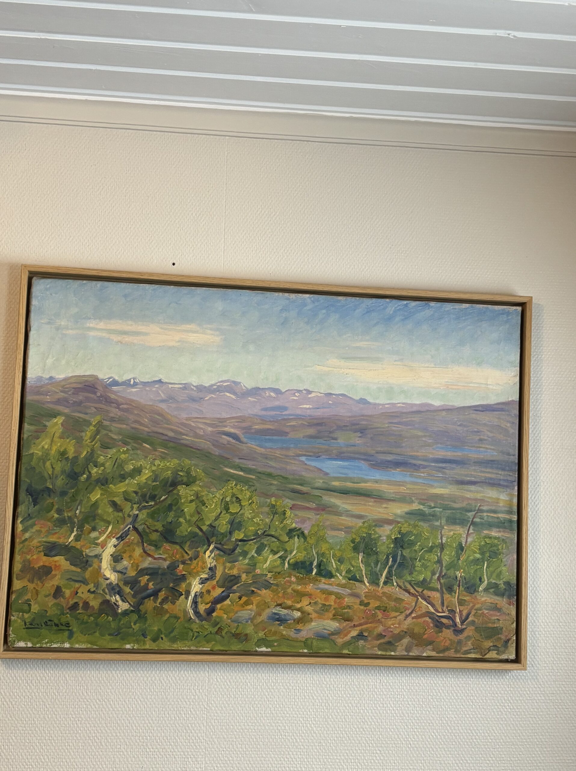 Fjellbjørk mot Rondane