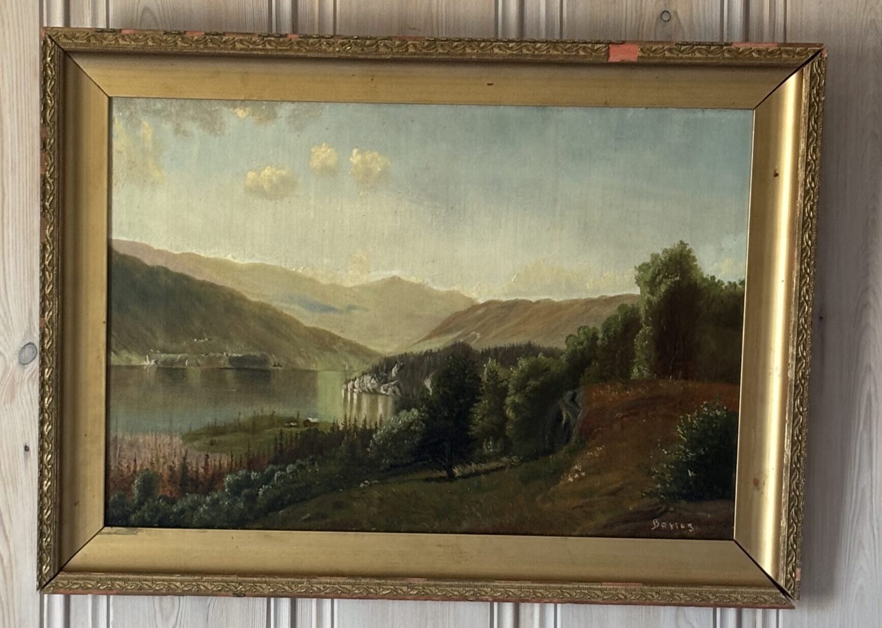 Fjordlandskap